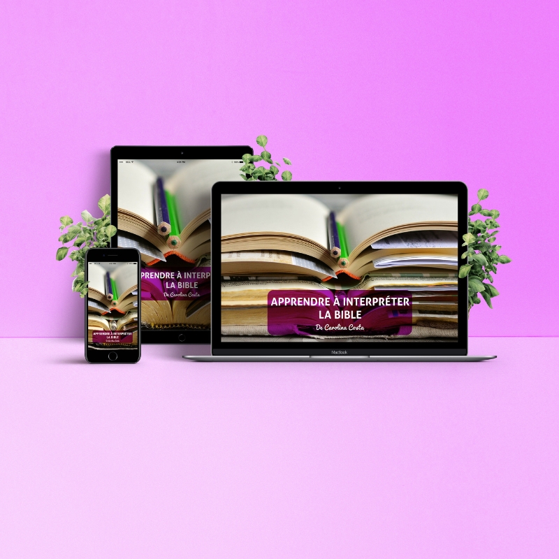 APPRENDRE A INTERPRETER LA BIBLE